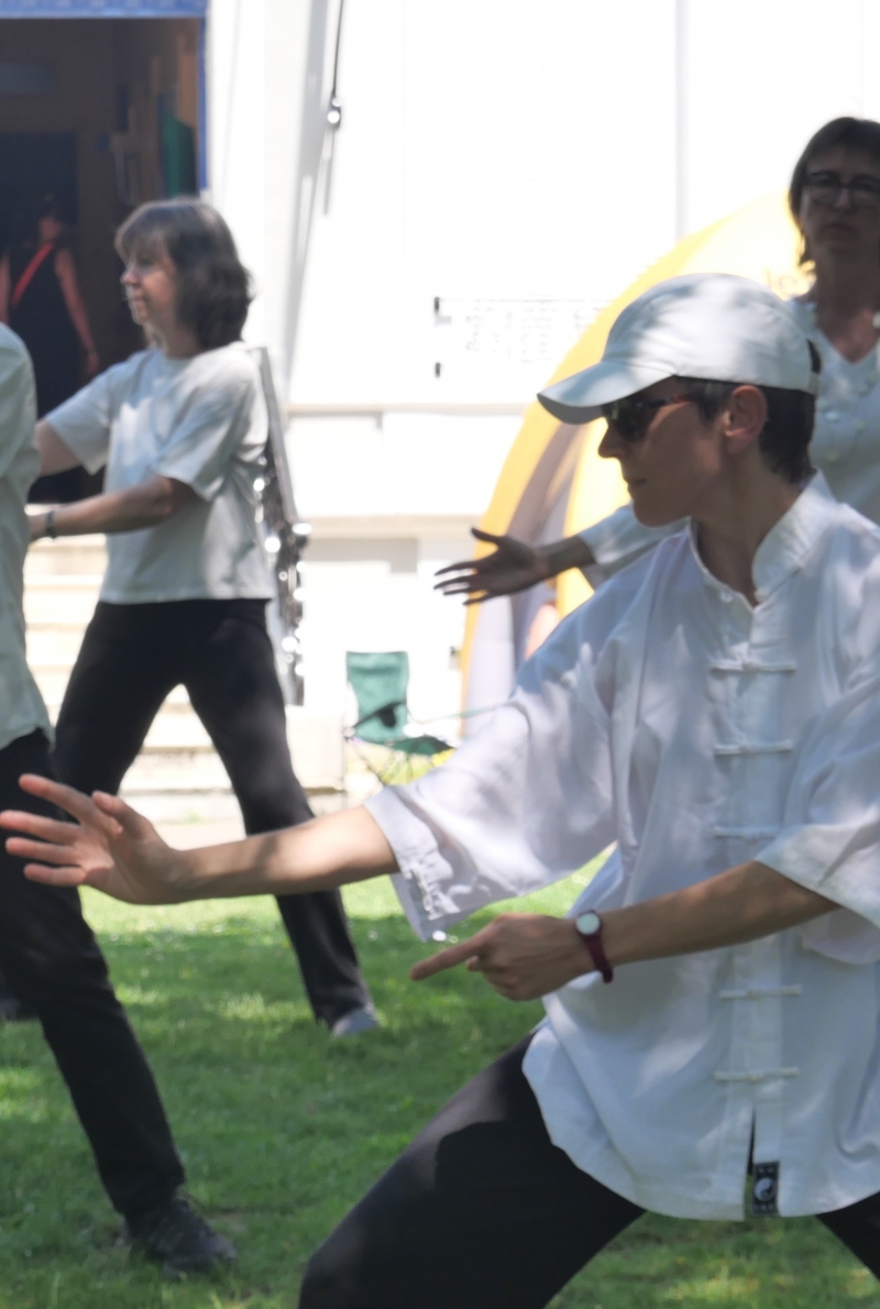 L'arbre de la vie - Tao le Havre